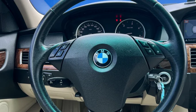 BMW 530d  - 2009